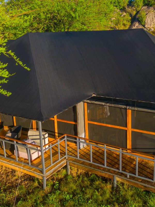 ABB1A8CE-3A2D-44E6-8503-B62A5AC600F2