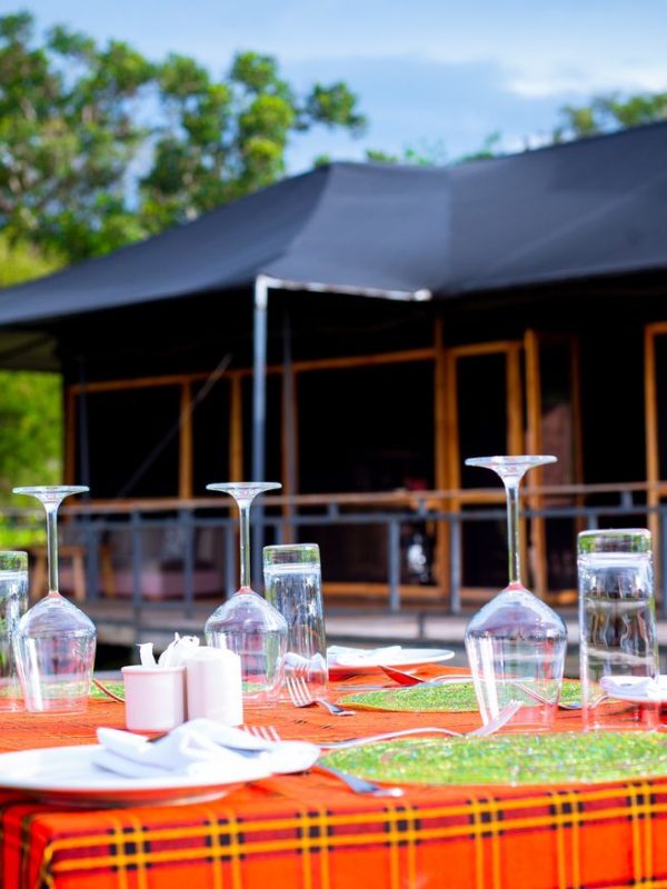 E8AE68FC-EED6-43F0-B861-B66188E9B5DE